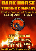 Dark Horse Trading Company