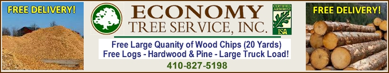 Free Lumber and wood chips! - Call 410-827-5198
